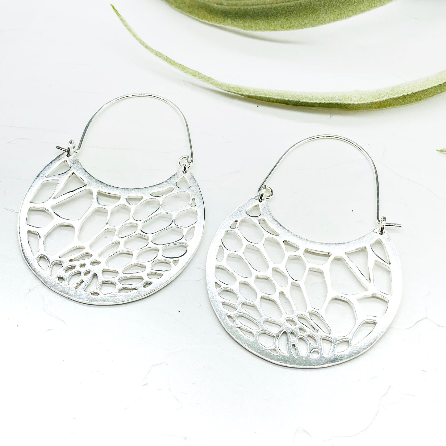 Organic Matter Statement Hoops